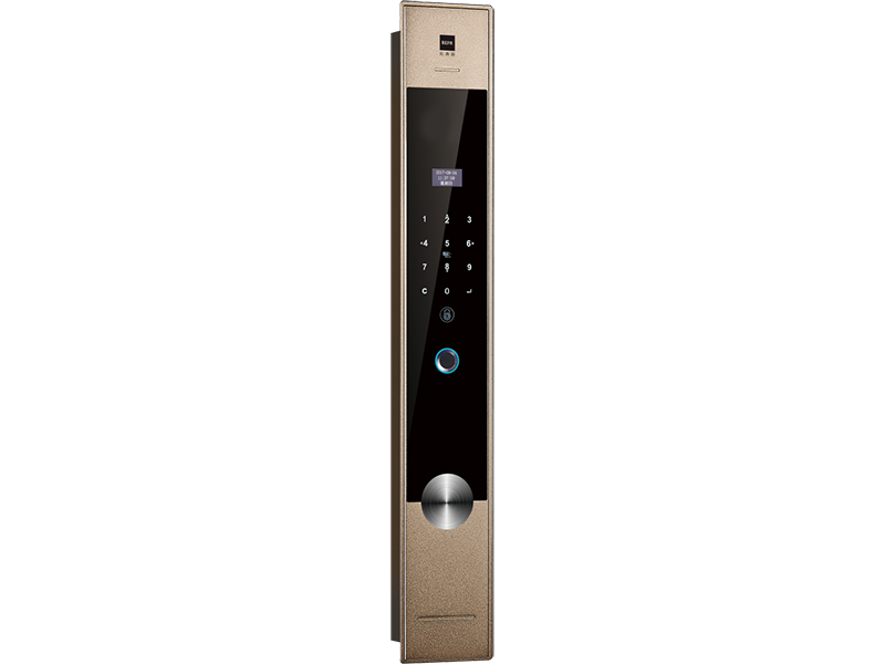 prothumimg-1551405152[1].png